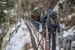 Full-Day Ice Climbing - Ouray Ice Park - Second Medium