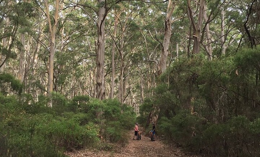 Image 4: Fat Bike Adventure Tour in Margaret River