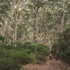 Image 4: Fat Bike Adventure Tour in Margaret River