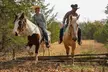90 Minutes Private Horseback Ride Near Nashville - Second Medium