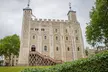 VIP Tower of London and Crown Jewels Tour with Private Beefeater Meet & Greet - Image 4