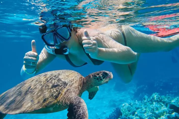 Makena Turtle Town Eco Adventure in Maui