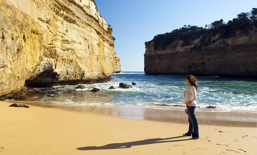 Image 15: Great Ocean Road 12 Apostles kangaroo & koala tour