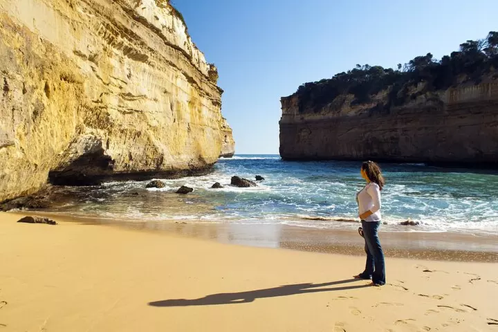 Great Ocean Road 12 Apostles kangaroo, koala and chocolate tour