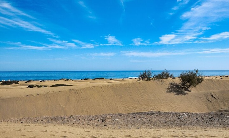 Image 10: Descubre Fuerteventura en un día