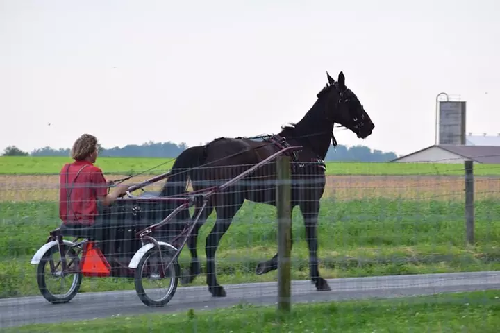 Premium Amish Country Tour including Amish Farm and House
