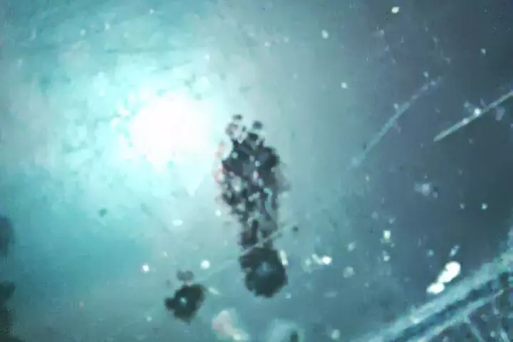 Haunted Nashville Night-Time Walking Tour with Costumed Guide