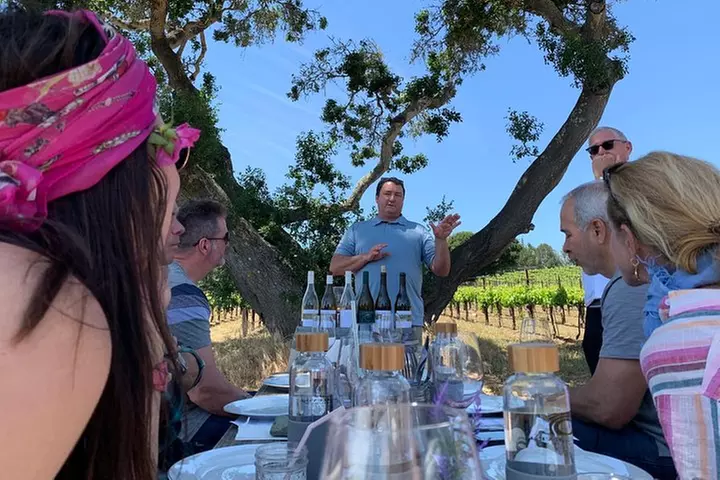 Small-Group Wine Tasting Tour of Santa Barbara Wine Country