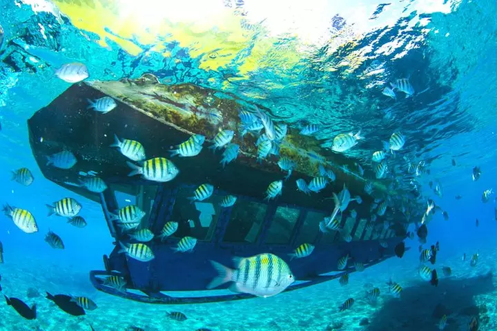 Paradise Subsee Explorer - Second Medium