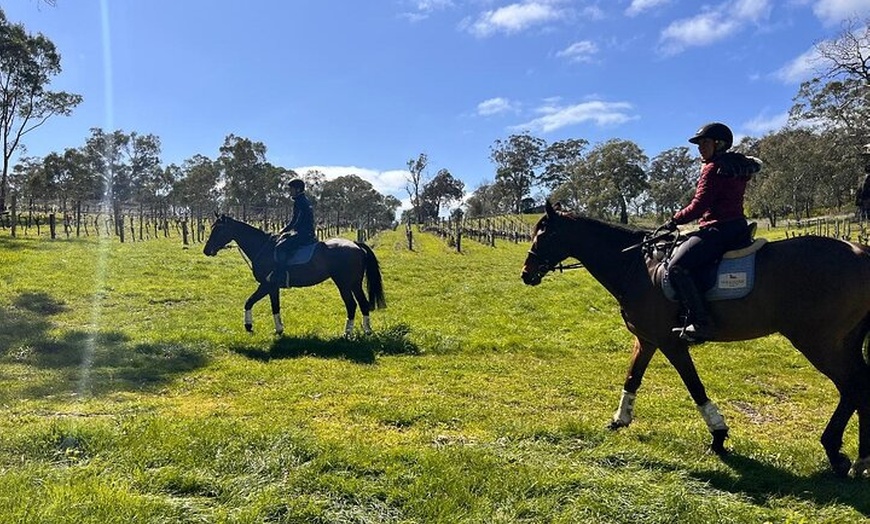 Image 8: Horse Trail Ride and Wine Tasting at Adelaide Hills Winery