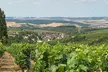 Visite des vins de Chablis et de Bourgogne en Sommelier avec déjeuner - Second Medium