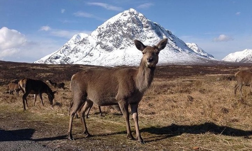 Image 6: Glasgow: Loch Ness, Glencoe, and the Highlands Day Tour