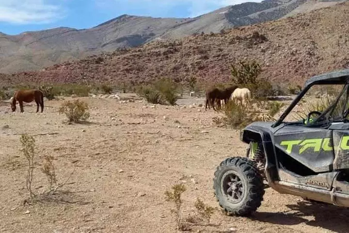 Las Vegas UTV Tour