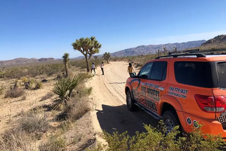 Joshua Tree National Park Offroad Tour
