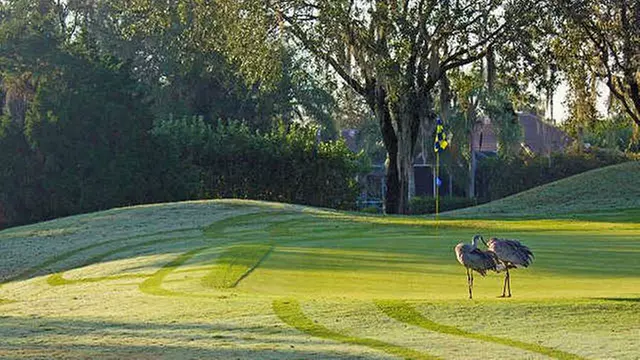 Online Booking - Round of Golf at The River Club Golf Course - Primary Image