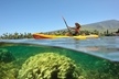 Turtle Reef Kayak Tour of Makena, Maui - Second Medium