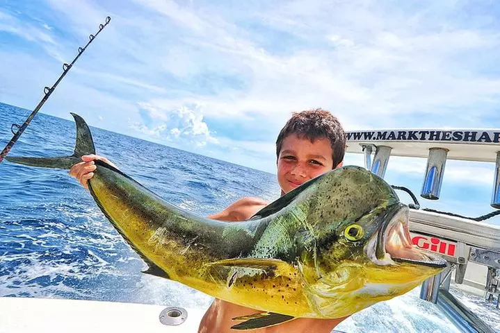 Miami Big Game Deep Sea Fishing Charter