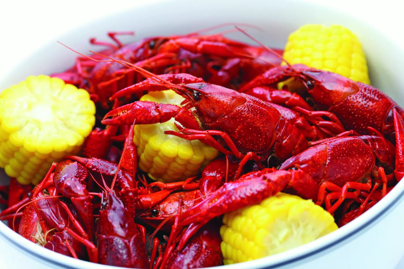 $15 For $30 Worth Of Casual Dining - Primary Image