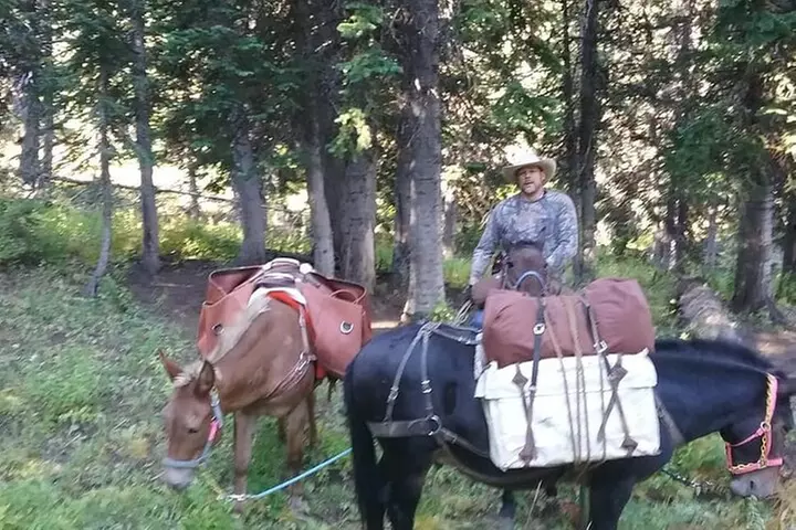 High Mountain scenic trail rides in the Teton Range