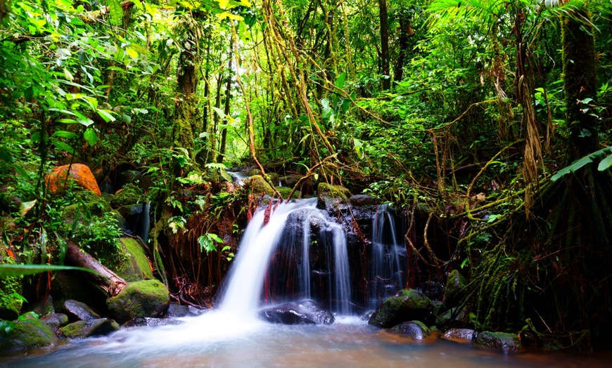 Image 3: ✈ COSTA RICA | Da San José a Manuel Antonio - Les Merveilles du Cos...