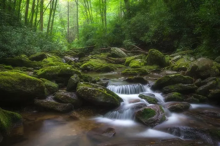 Custom Half-Day Photo Tour with Photography Lessons from Asheville