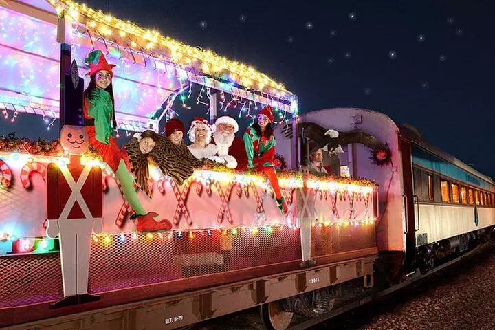 The Magical Christmas Journey - Primary Image