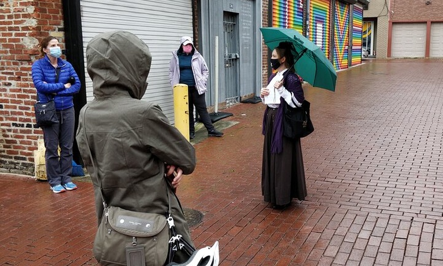Image 1: Historic Alleyways Guided Walking Tour of Washington DC