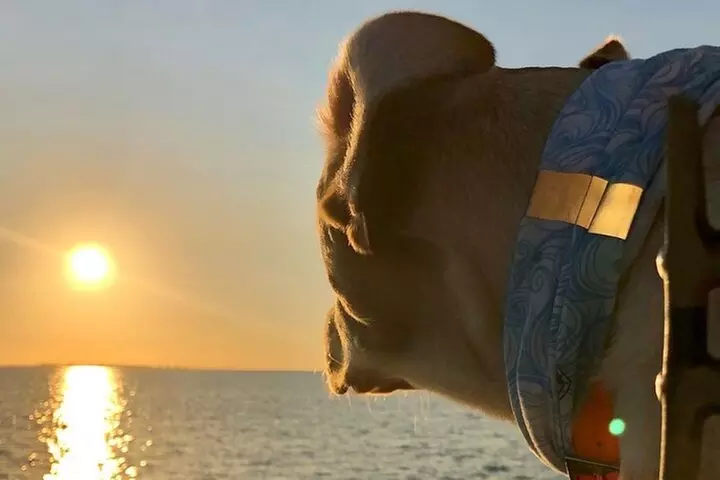 Private Dolphin Watch and Sunset Boat Tour Port Aransas Texas