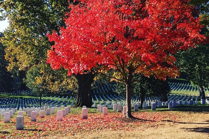 Arlington National Cemetery Walking Tour & Changing of the Guards