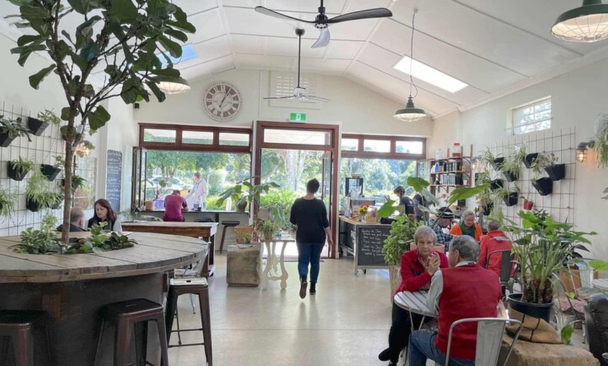 Image 15: Noosa Hinterland Tour with Lunch, Wine & Cheese Tasting & more