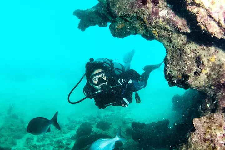 Get SCUBA Certified at San Juan - Primary Image