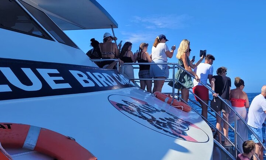 Image 3: Tour de Medio-Dia en Crucero-Observación de Delfines y Ballenas