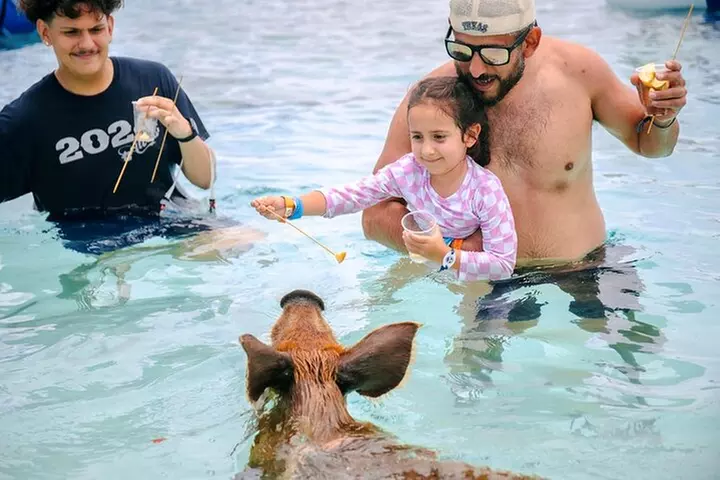 Swimming Pigs Of Rose Island Express Water Taxi Nassau Bahamas - Primary Image