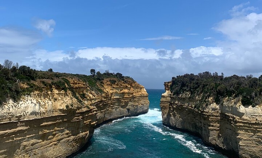 Image 7: Great Ocean Road and 12 Apostles Private Day Tour