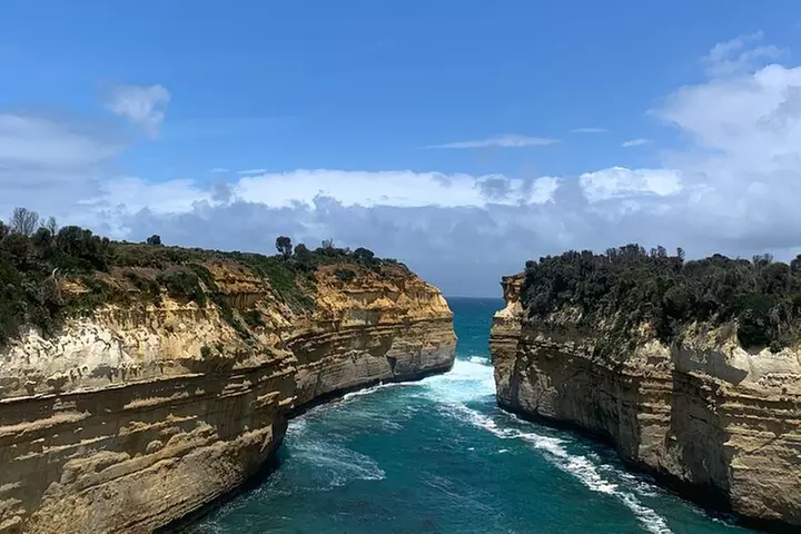 Great Ocean Road and 12 Apostles Private Day Tour - Image 7