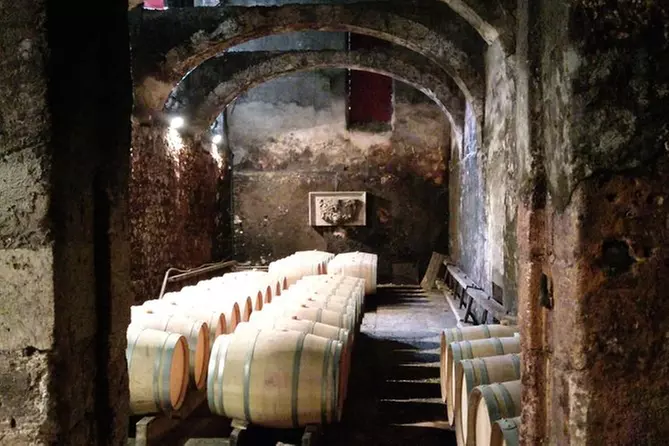 Visite et dégustation de vins - Primary Image