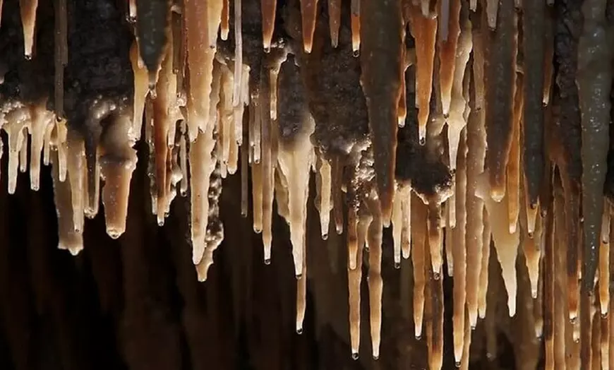 Image 3: Wombeyan Caves: Mulwaree Cave tour