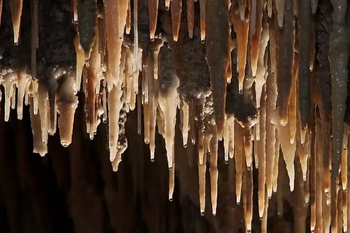 Wombeyan Caves: Mulwaree Cave tour - Image 3
