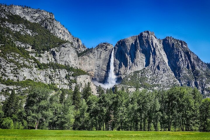Yosemite and Giant Sequoias Day Tour