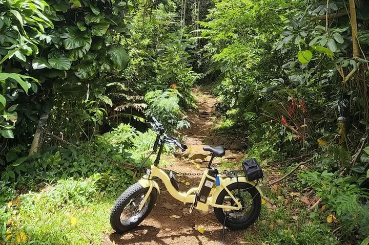 Waikiki Electric Bike Self Guided Tour- Manoa Falls Bike and Hike - Second Medium
