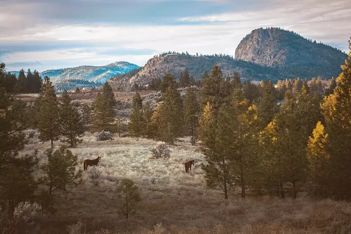 Explore and Learn the Natural Wonders of Summerland - Primary Image