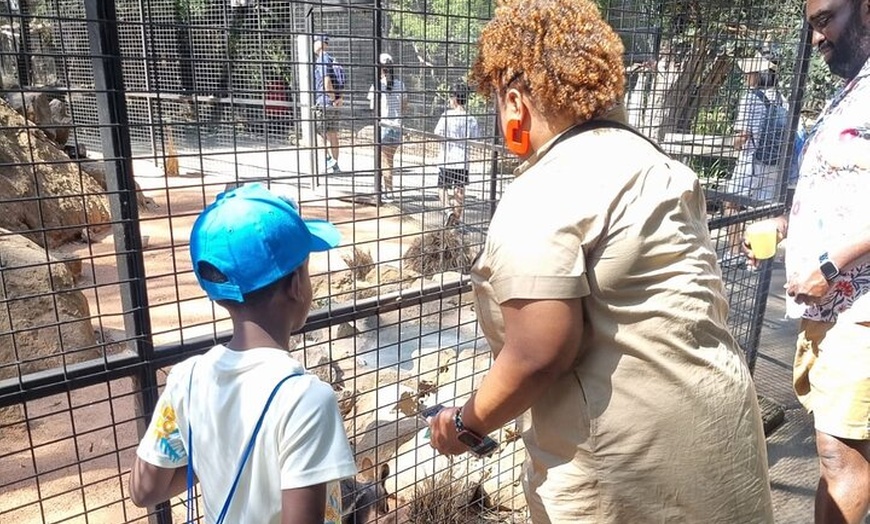 Image 40: PVT Guided Tour: Sydney Opera House and Featherdale Wildlife Park