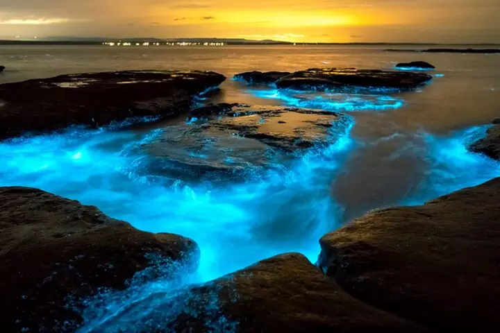 Bioluminescence Clear Kayak or Paddleboard Tour Near Orlando - Primary Image