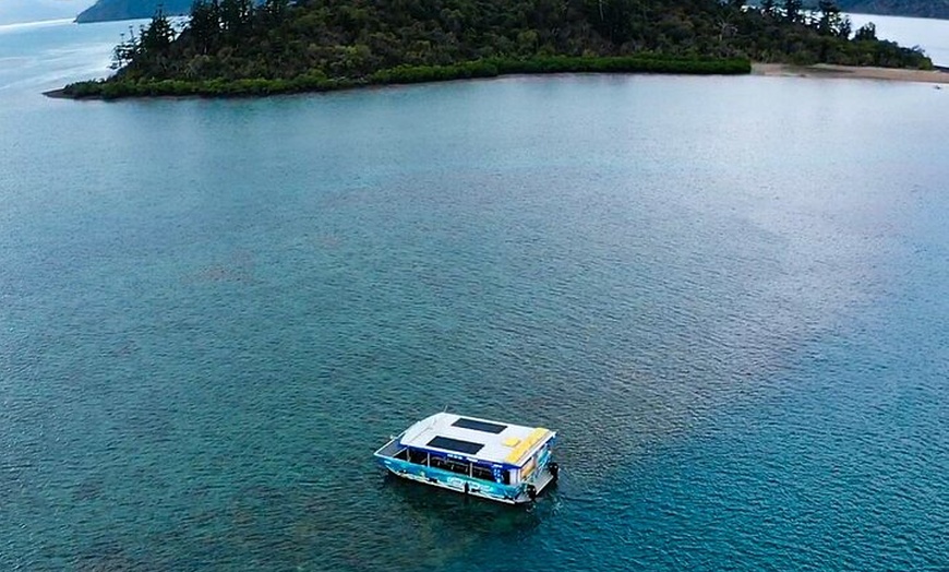 Image 4: Airlie Beach Glass Bottom Boat Tour