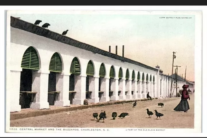 Undiscovered Charleston: Half Day Food, Wine & History Tour with Co...