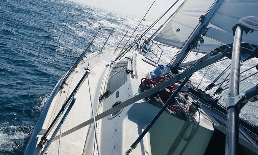 Sailing Daffy - Sailing Daffy | Groupon