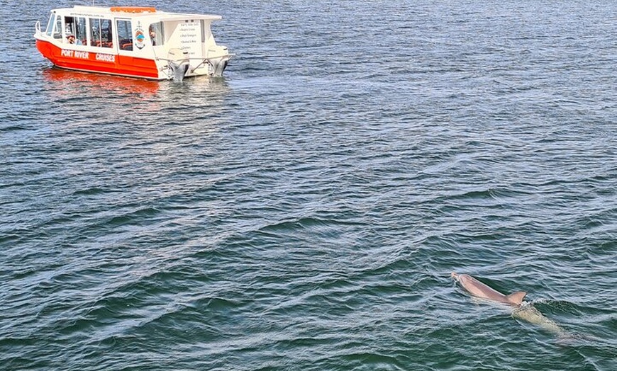 Image 4: 90 Minute Port River Dolphin & Ships Graveyard Cruise