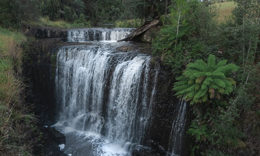 Image 3: Burnie Attractions Bus Shore Excursion