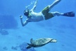 2.5 Hour Xpress Snorkel from Ka'anapali Beach - Second Medium
