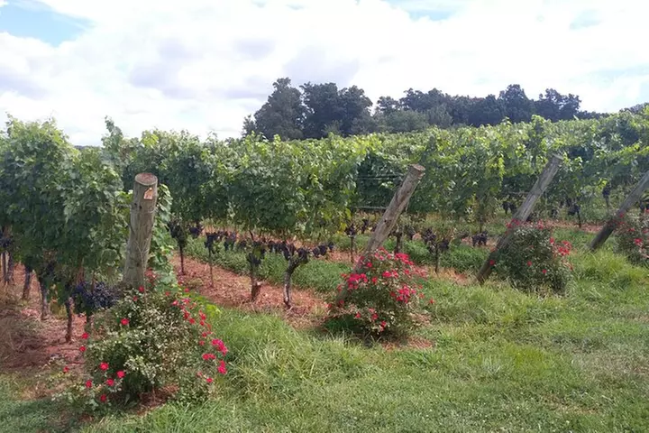 Private Wine Tours (Minimum 3 & Maximum 6 ) Pickup Maximum 30 Mi